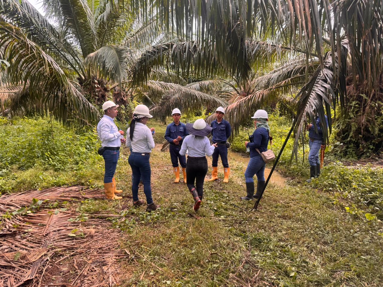 Equipo de trabajo de Grupo Monterrey